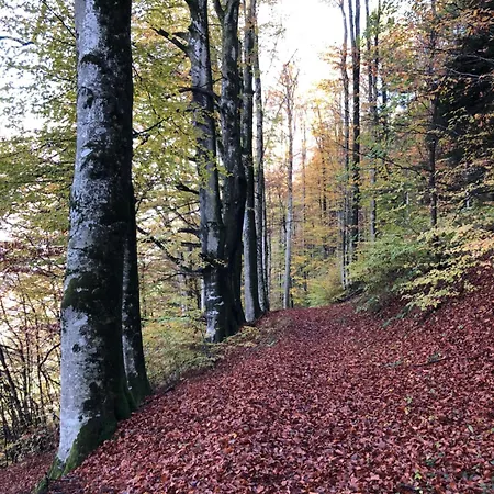 Malterlehen