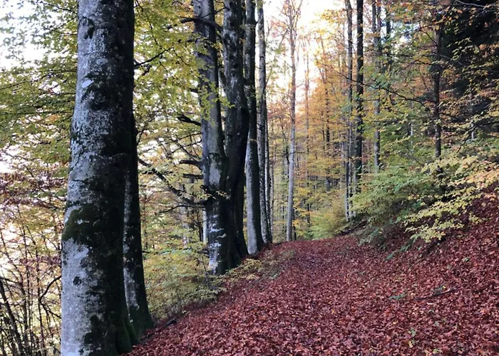 Malterlehen